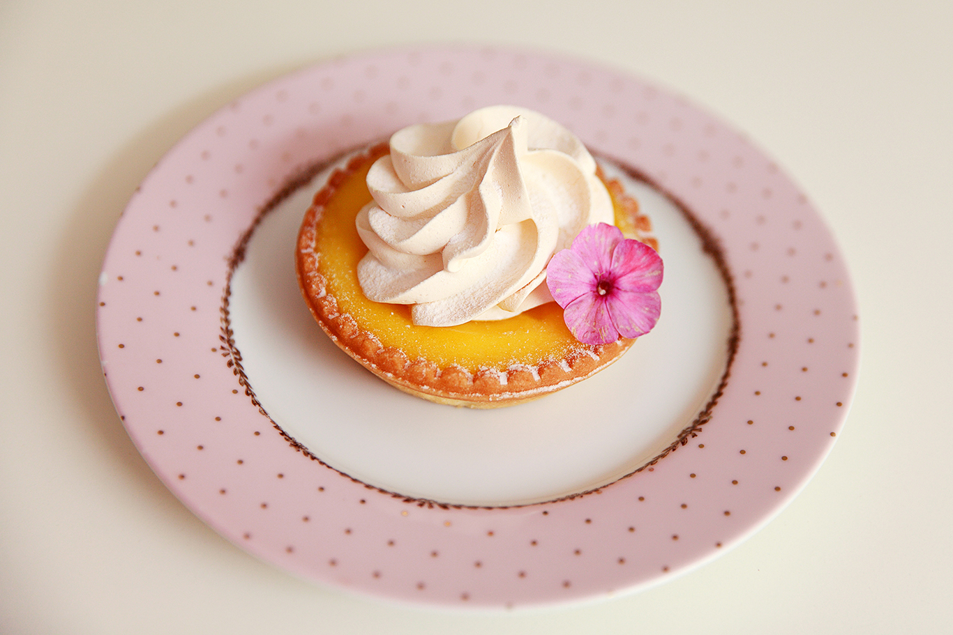 Gastronómia foto 21