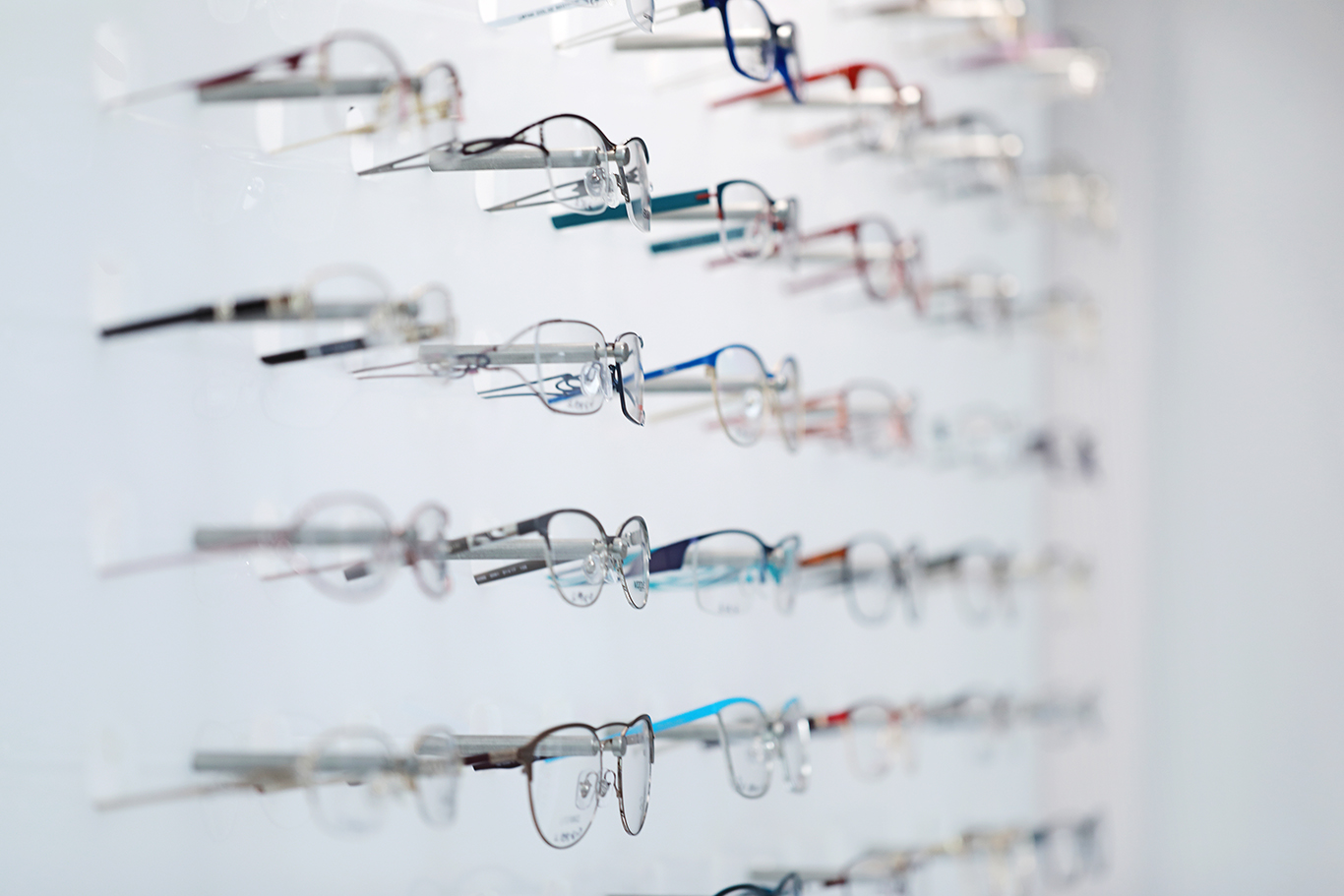 BRILL Optik fotka 03