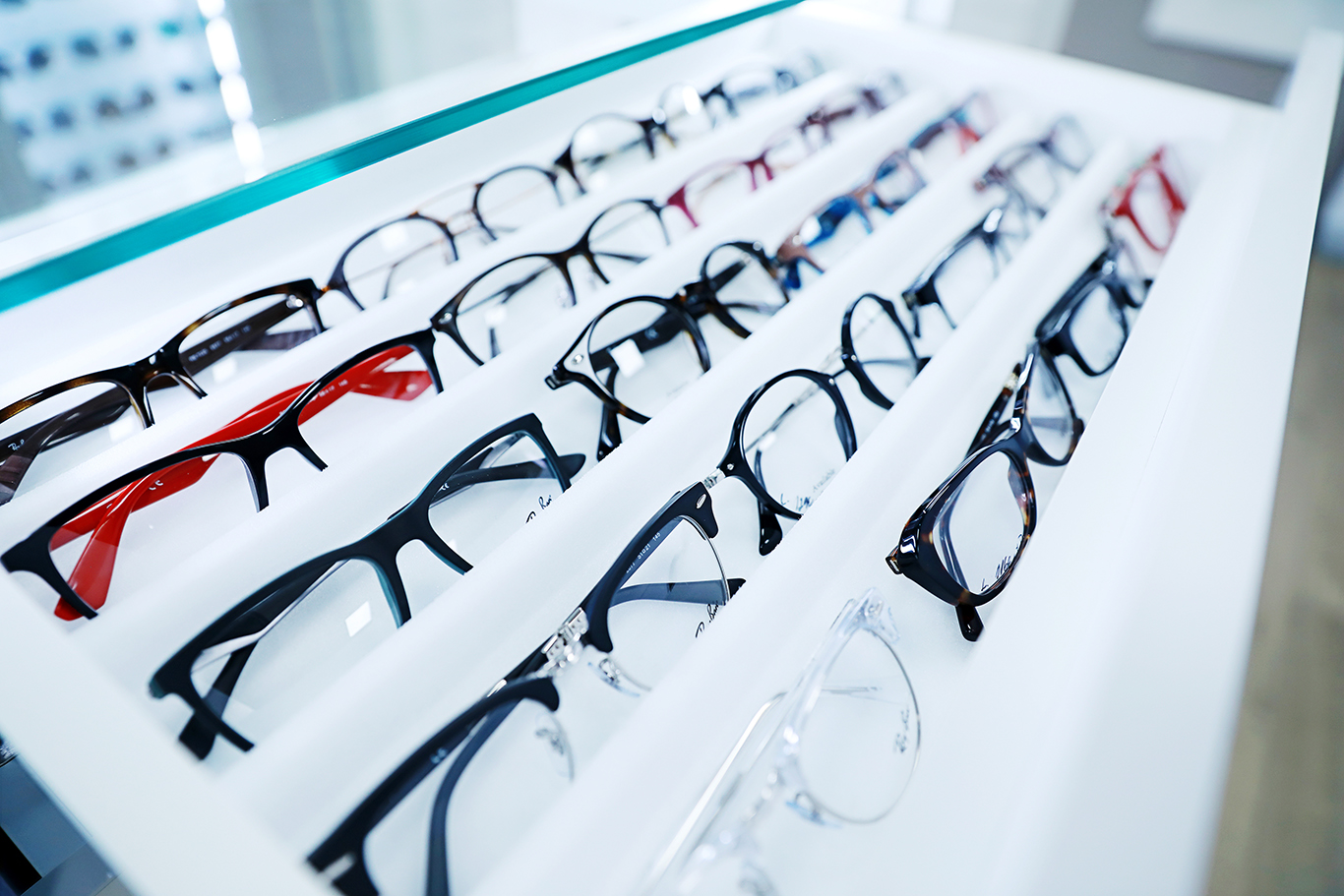 BRILL Optik fotka 04