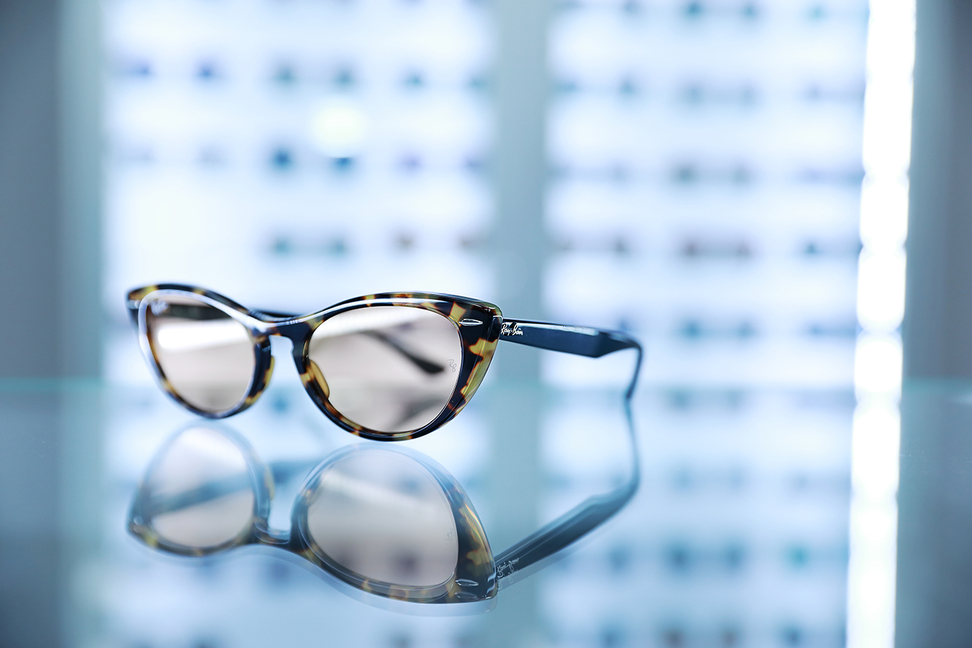 BRILL Optik fotka 09