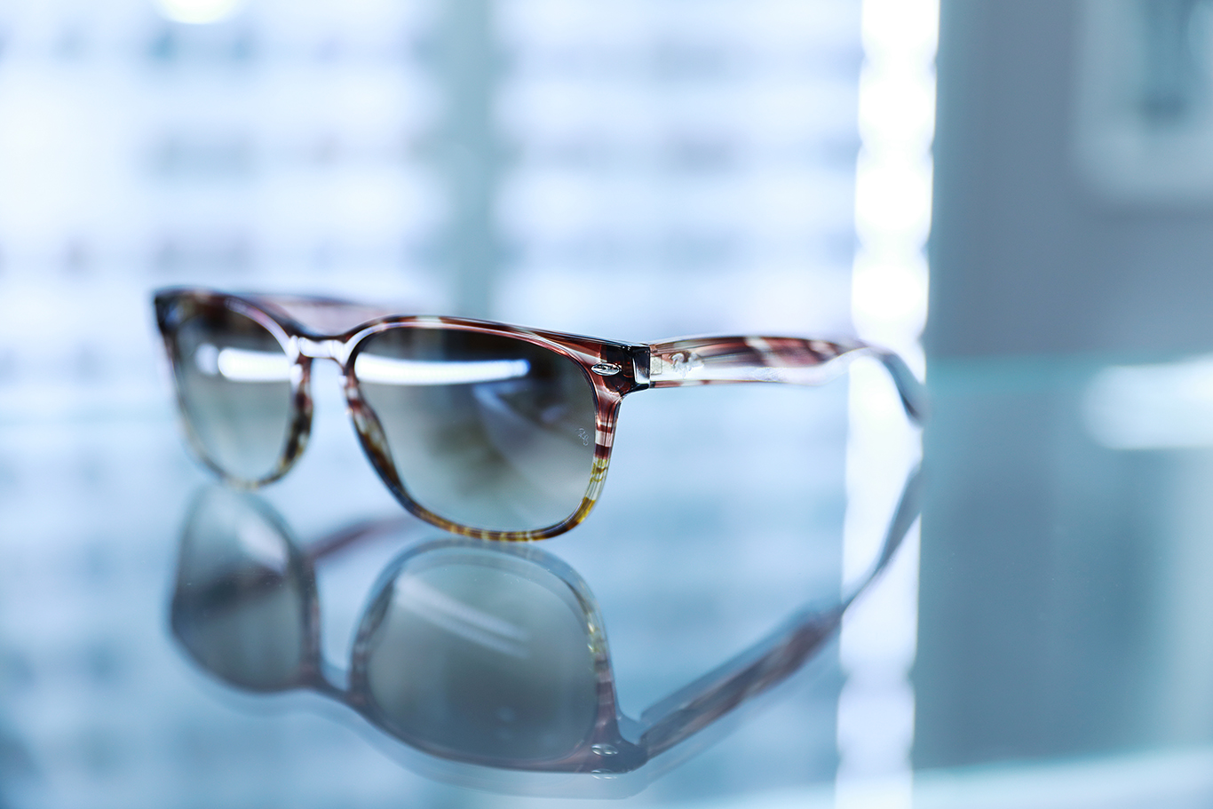 BRILL Optik fotka 10